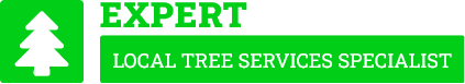 Napier Tree Services - Tree Removal Napier